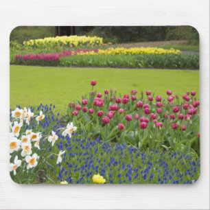 Netherlands aka Holland), Lisse. Keukenhof 5 Mouse Mat