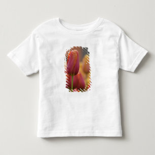 Netherlands aka Holland), Lisse. Keukenhof 6 Toddler T-Shirt