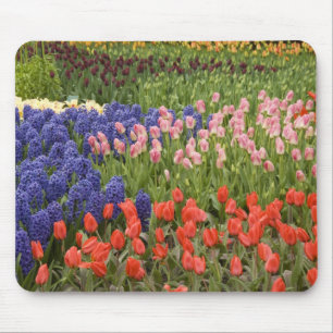 Netherlands aka Holland), Lisse. Keukenhof 8 Mouse Mat