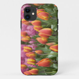 Netherlands (aka Holland), Lisse. Keukenhof iPhone 11 Case