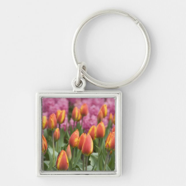Netherlands (aka Holland), Lisse. Keukenhof Key Ring (Front)