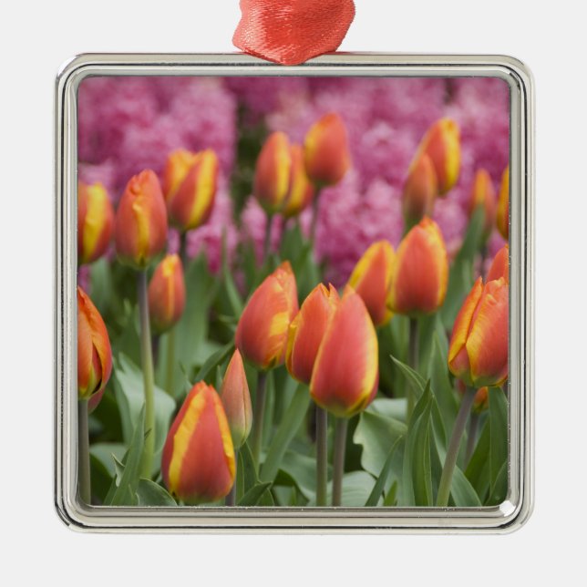 Netherlands (aka Holland), Lisse. Keukenhof Metal Tree Decoration (Front)