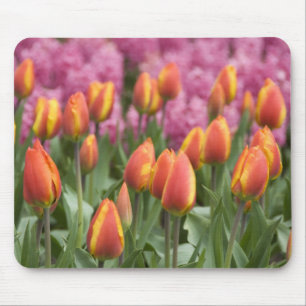 Netherlands (aka Holland), Lisse. Keukenhof Mouse Mat