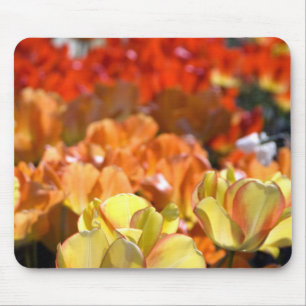 Netherlands aka Holland), Lisse. Keukenhof Mouse Mat
