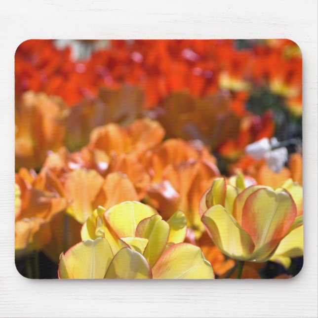 Netherlands aka Holland), Lisse. Keukenhof Mouse Mat (Front)