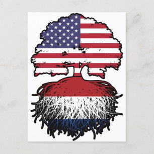 Netherlands Dutch American USA United States Postcard