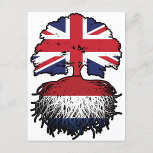 Netherlands Dutch British UK United Kingdom Postcard