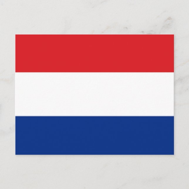 Netherlands Flag Postcard (Front)