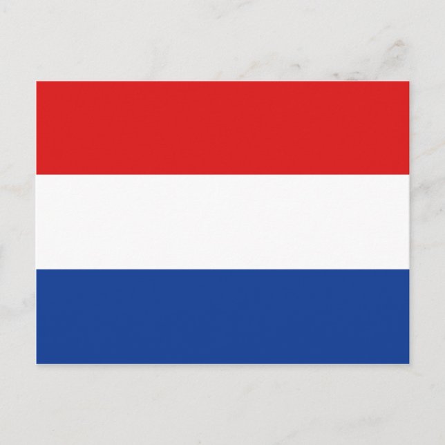 Netherlands Flag Postcard (Front)