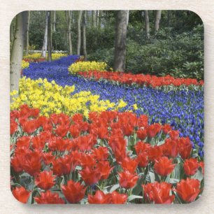 Netherlands, Holland, Lisse, Keukenhof Gardens Coaster