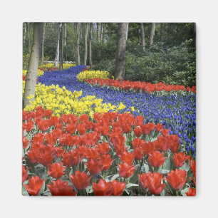 Netherlands, Holland, Lisse, Keukenhof Gardens Magnet
