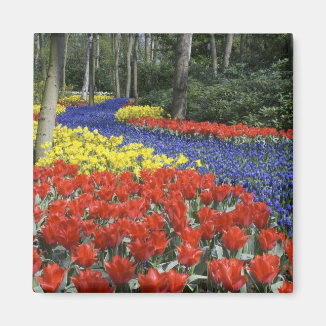 Netherlands, Holland, Lisse, Keukenhof Gardens Magnet (Front)