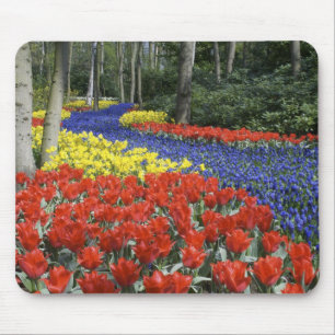 Netherlands, Holland, Lisse, Keukenhof Gardens Mouse Mat