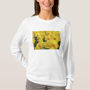 Netherlands, Holland, Lisse, Keukenhof Gardens, T-Shirt