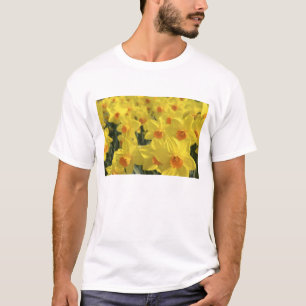 Netherlands, Holland, Lisse, Keukenhof Gardens, T-Shirt