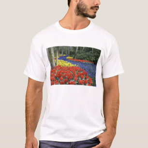 Netherlands, Holland, Lisse, Keukenhof Gardens T-Shirt
