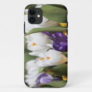 Netherlands, Keukenhoff Gardens, Tulips. iPhone 11 Case