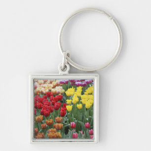 Netherlands, Keukenhoff Gardens, tulips. Key Ring