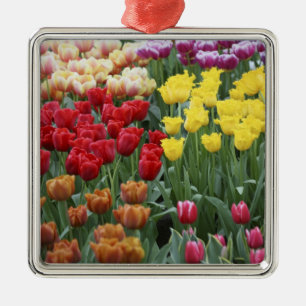 Netherlands, Keukenhoff Gardens, tulips. Metal Tree Decoration