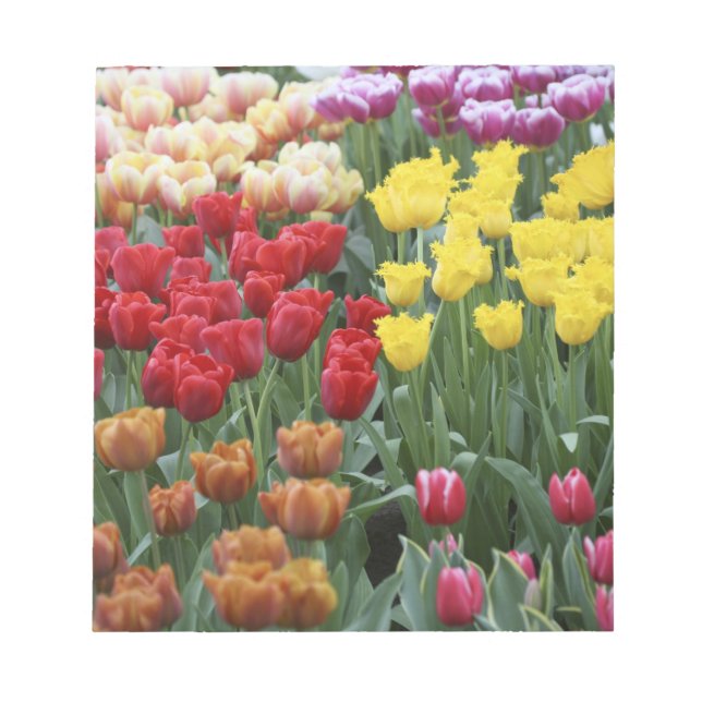 Netherlands, Keukenhoff Gardens, tulips. Notepad (Front)