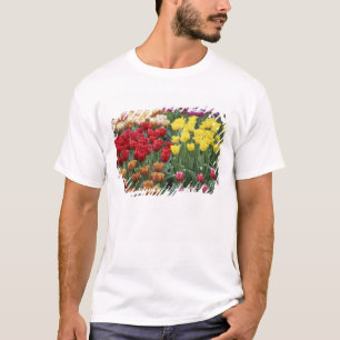 Netherlands, Keukenhoff Gardens, tulips. T-Shirt