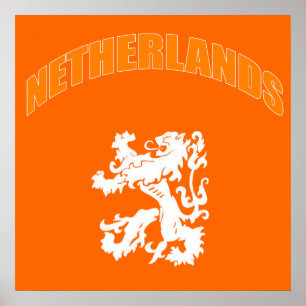 Netherlands Lion 2010 football Dutch Leeuw Gifts Poster