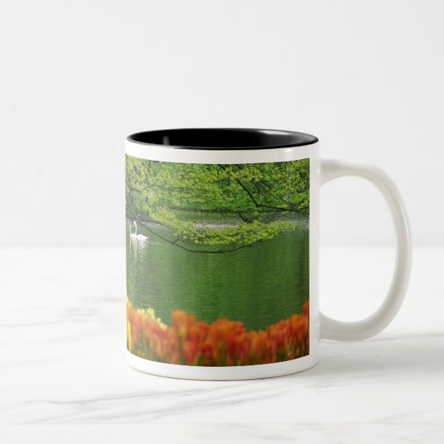 Netherlands, Lisse. White swans on pond amid Two-Tone Coffee Mug (Right)