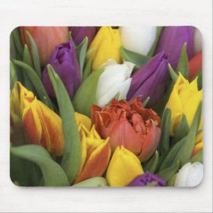 Netherlands, South Holland, Amsterdam Mouse Mat