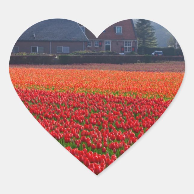 Netherlands: Tulip Field in Holland Heart Sticker (Front)