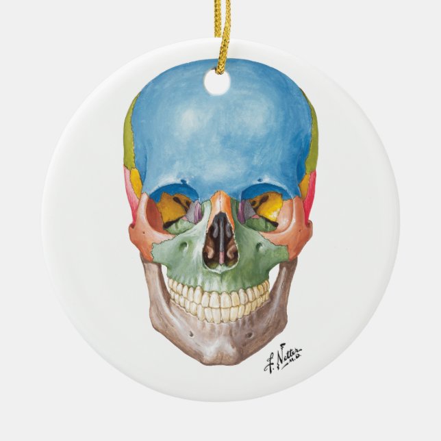 Netter Skull for your Christmas Tree Ceramic Tree Decoration (Front)