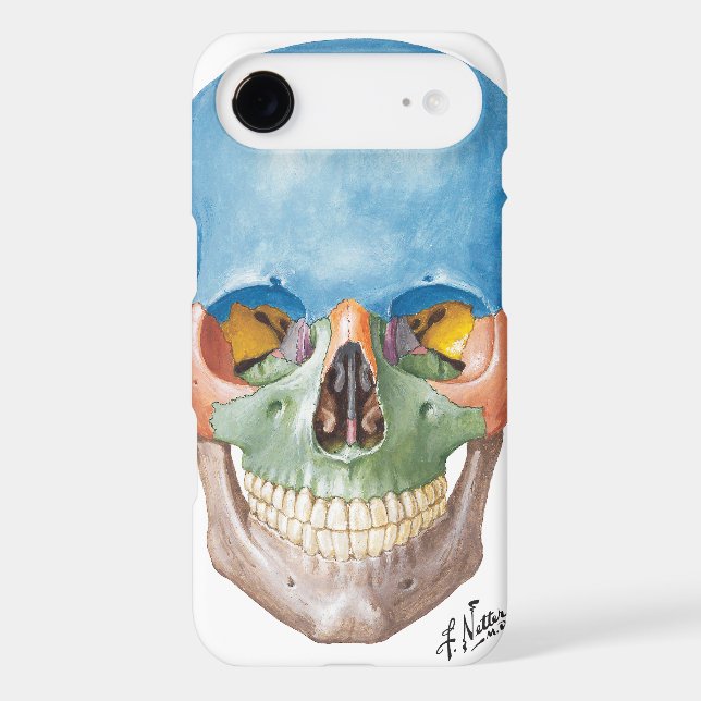 Netter Skull iPhone 5 Case (Back)