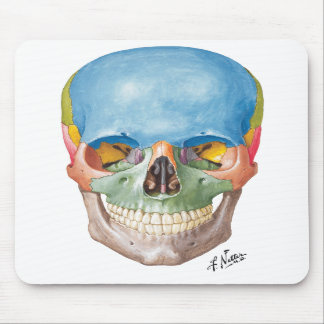 Netter Skull Mouse Pad