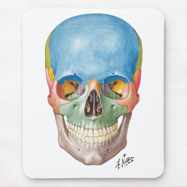 Netter Skull Mouse Pad (Front)