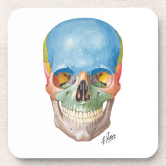 Netter Skull on Sandstone Coasters