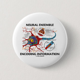 Neural Ensemble Encoding Information (Neuron) 6 Cm Round Badge
