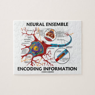 Neural Ensemble Encoding Information Neuron Jigsaw Puzzle
