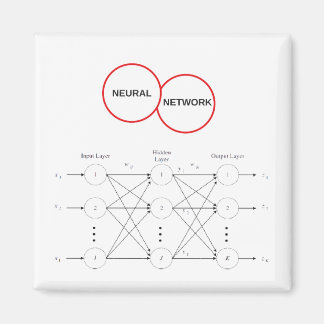 Neural Network Magnet