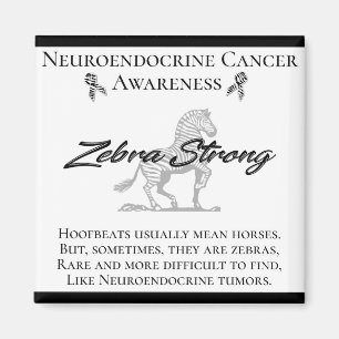 Neuroendocrine Cancer Awareness  Zebra Strong Magnet