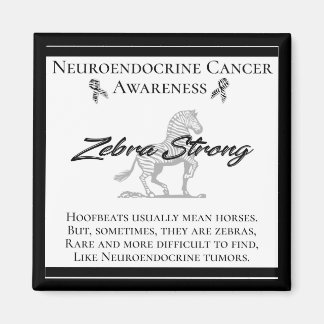 Neuroendocrine Cancer Awareness  Zebra Strong Magnet