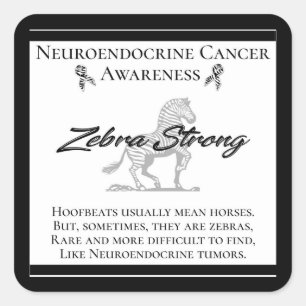 Neuroendocrine Cancer Awareness Zebra Strong Square Sticker