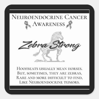 Neuroendocrine Cancer Awareness Zebra Strong Square Sticker