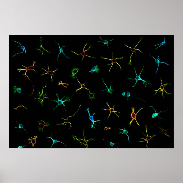 NeuroGalaxy Poster (Front)