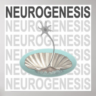 Neurogenesis Poster