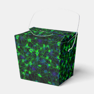 Neuron City Favour Box