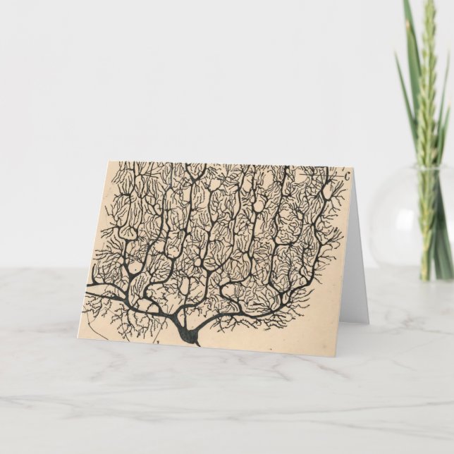 Neuron Drawing By Santiago Ramón Y Cajal Card (Front)