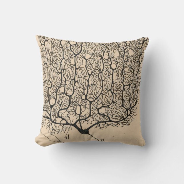 Neuron Drawing By Santiago Ramón Y Cajal Cushion (Front)