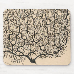 Neuron Drawing By Santiago Ramón Y Cajal Mouse Mat