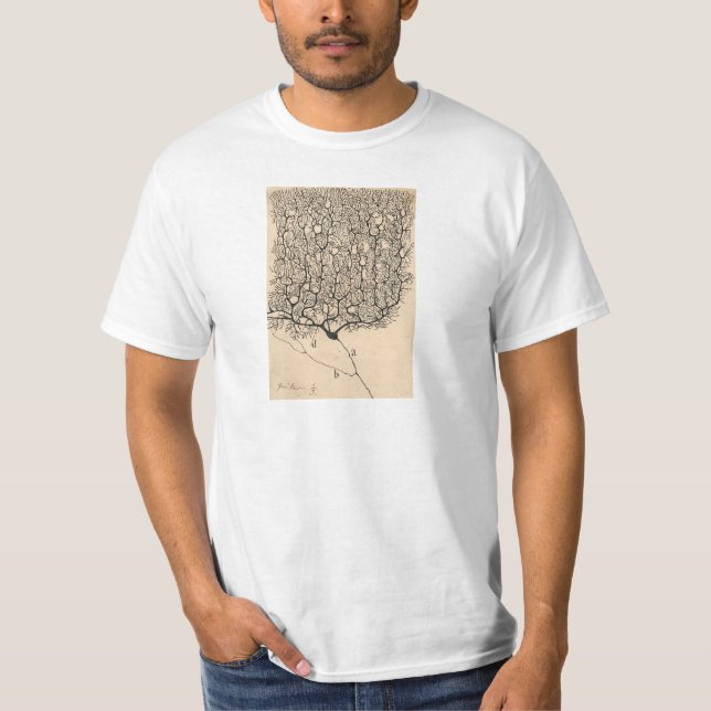Neuron Drawing By Santiago Ramón Y Cajal T-Shirt (Front)