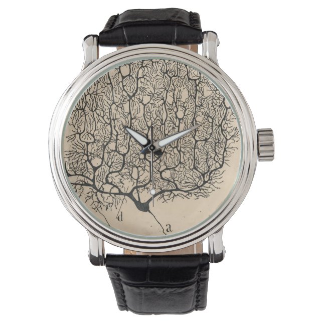Neuron Drawing By Santiago Ramón Y Cajal Watch (Front)