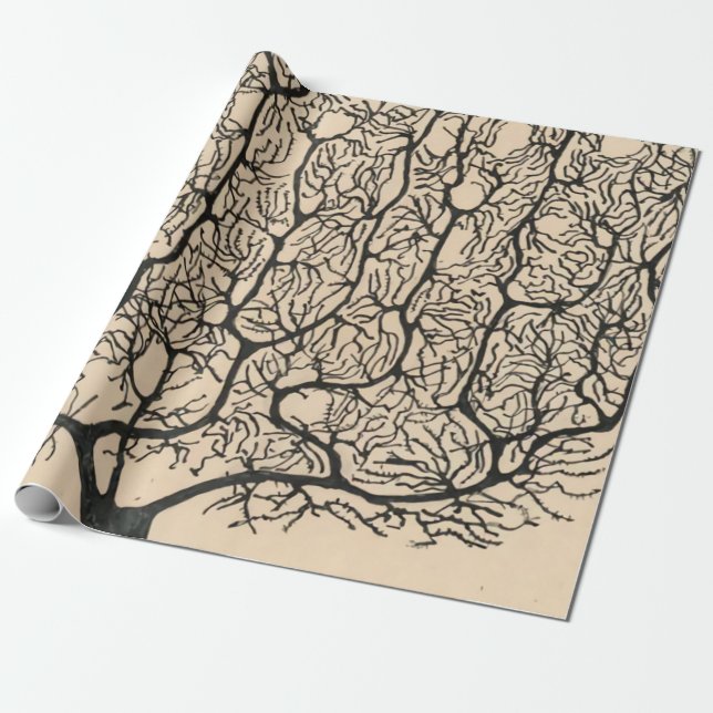 Neuron Drawing By Santiago Ramón Y Cajal Wrapping Paper (Unrolled)